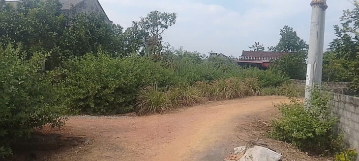 CẦN CÁN GẤP 5 LÔ ĐẤT ĐẸP:F0 TẠI THÔN MỊN TO_XÃ TRÙ HỰU_LỤC NGẠN_BẮC GIANG