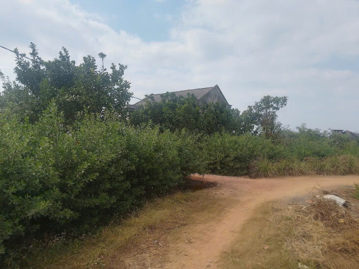 CẦN CÁN GẤP 5 LÔ ĐẤT ĐẸP:F0 TẠI THÔN MỊN TO_XÃ TRÙ HỰU_LỤC NGẠN_BẮC GIANG