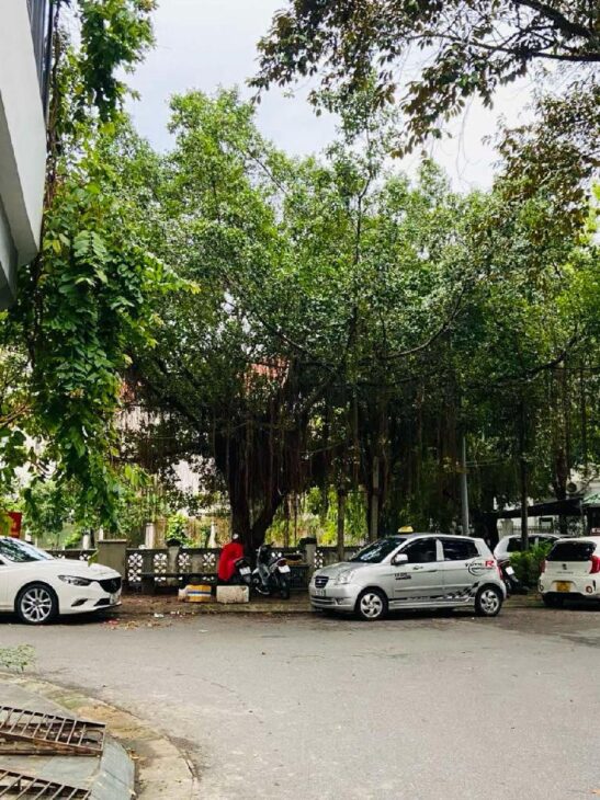 siêu phẩm lô đất tại khu DV Yên Nghĩa Hà Đông 50m2 , mt 4m , khu phân lô , vỉa hè oto tránh , kinh