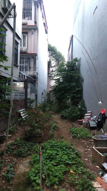 Bán đất Nguyễn Văn Cừ – Oto -100m2 – mặt tiền 6 m nhỉnh 10 tỷ( Thương lượng)