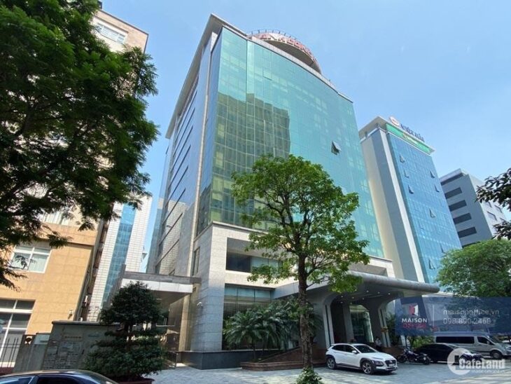 ⚜️ DỰ ÁN VIP BUILDING 19 TẦNG MẶT PHỐ TRUNG KÍNH ĐÔI LÔ GÓC 2001M2 MT 50M CHỈ 320 TỶ ⚜️