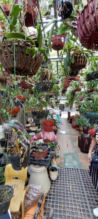 Mặt phố Hoàng Hoa Thám, Ba Đình, 86m2 C4 MT 5.7m, Giá rẻ xây tòa 17.5 TỶ