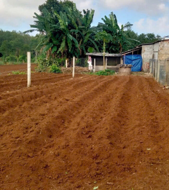 CHÍNH CHỦ Bán ĐẤT ĐẸP – Giá Tốt- Vị Trí Tại : Vĩnh Hòa – Vĩnh Linh – Quảng Trị