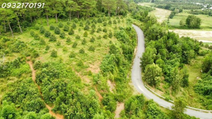 Đất FULL Thổ- Đườn 13m- Cách Đinh Tiên Hoàng 200m- Giá Chỉ 910 triệu- Mua SIÊU LÃI