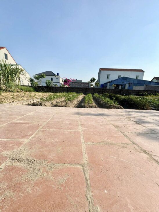 Đừng bỏ lỡ! Bán đất Hưng Long – Mỹ Hào – Hưng Yên, 63.2m2, xe 7 chỗ đỗ cửa, 1.3 tỷ