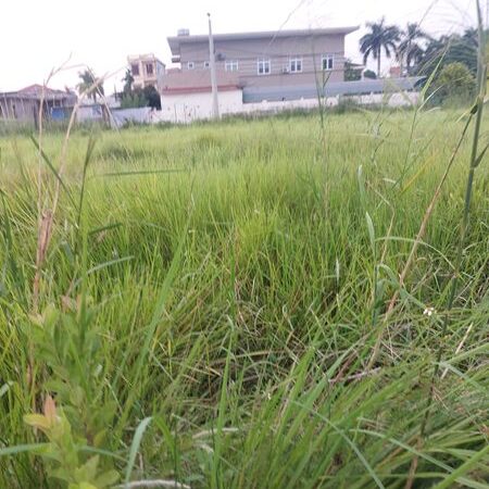 Bán đất huyện Đông Hưng, diện tích 210m2 giá chỉ tầm 1.9 tỷ