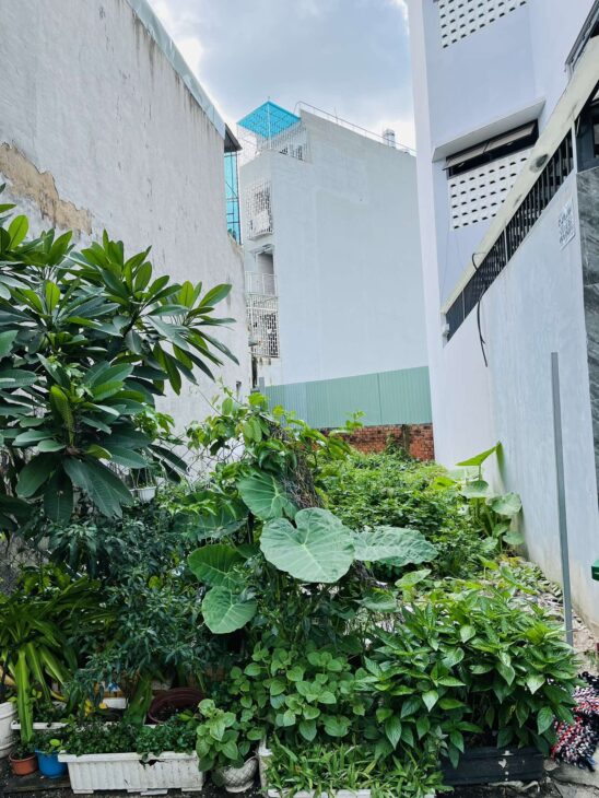 Giảm giá bán nhanh 76m2 đất thổ cư đường Phạm Văn Chiêu,Quận Gò Vấp chỉ 4 tỷ.