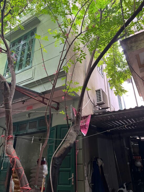 BÁN NHÀ MẶT NGÕ AN DƯƠNG VƯƠNG – DIỆN TÍCH RỘNG 225M2 – TRUNG TÂM PHÚ THƯỢNG – Ô TÔ THÔNG – GIÁ BÁN
