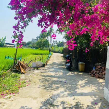 Đấ t sập hầm Đại Nghĩa – Đại Lộc giá siêu đầu tư