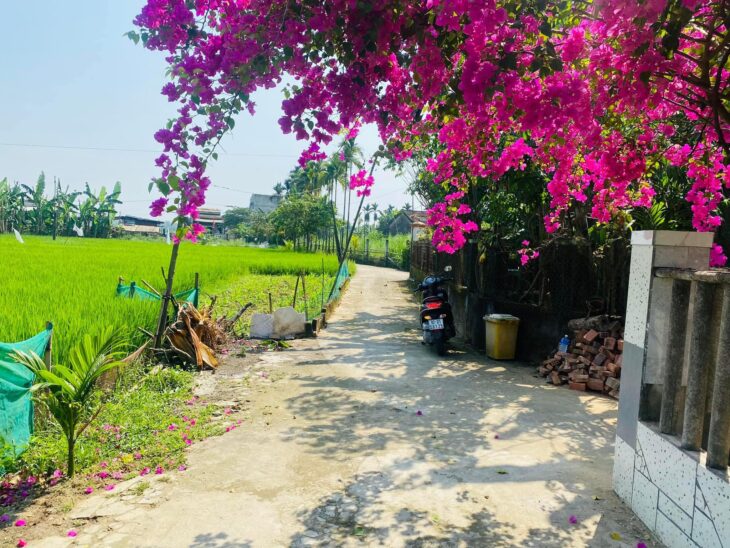Đấ t sập hầm Đại Nghĩa – Đại Lộc giá siêu đầu tư