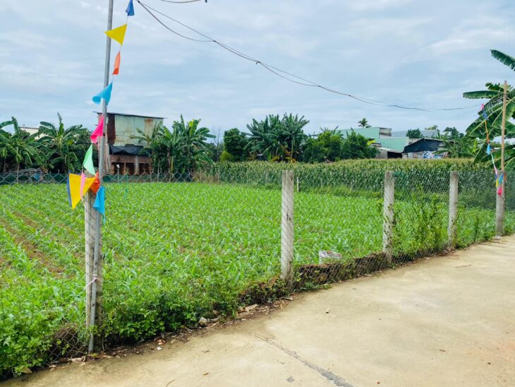 Đất Đại Cường – Đại Lộc diện tích rộng xây nhà vườn, biệt thự