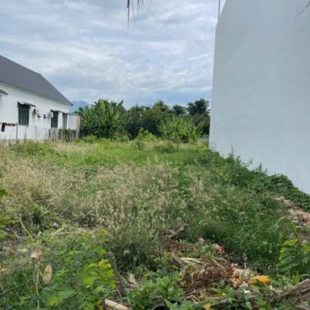 BÁN ĐẤT GIÁP KHU ĐÔ THỊ PHÚ ÂN NAM 2 – CƠ HỘI AN CƯ ĐẦU TƯ