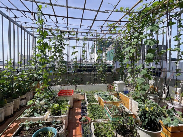 Linh Đàm – Hoàng Mai