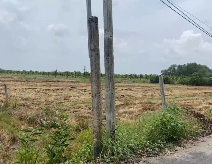 ĐẤT ĐẸP CHÍNH CHỦ – GIÁ Tốt – Vị Trí Đẹp Tại : Xã An Ninh Tây – Huyện Đức Hòa – Tỉnh Long An