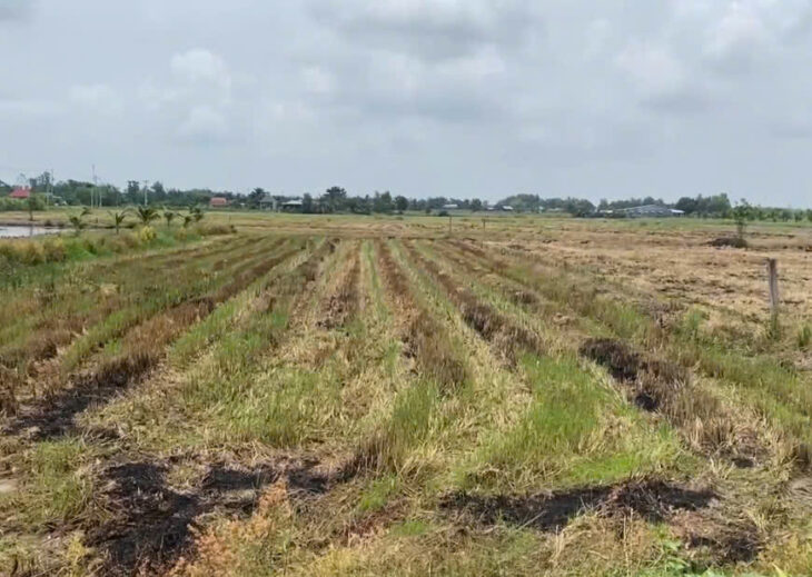 ĐẤT ĐẸP CHÍNH CHỦ – GIÁ Tốt – Vị Trí Đẹp Tại : Xã An Ninh Tây – Huyện Đức Hòa – Tỉnh Long An