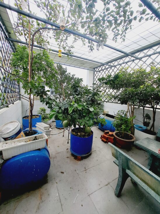 Nhà đẹp HXH Đồng Nai P2, Tân Bình, Sân vườn 4 Tầng 4x13m, 4,9 Tỷ TL