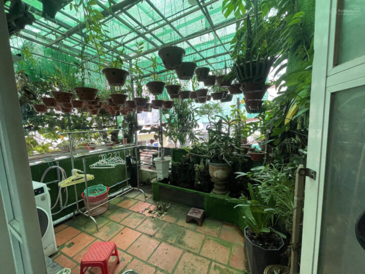 Bán Nhà 2 Mặt Hẻm Phố Tây, Hùng Vương, Nguyễn Thiện Thuật – Giá Chỉ 3 Tỷ 650 Triệu