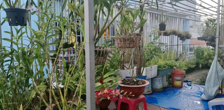 Bán nhà 65m2, 3 tầng, 4PN, 4WC, Tân Kỳ Tân Quý, Bình Hưng Hòa, 5.2 tỷ