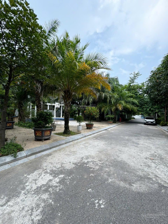 Bán Biệt thự phố Trịnh Văn Bô – Nam Từ Liêm – 130m – MT10m – 3 Thoáng – Hơn 24 tỷ