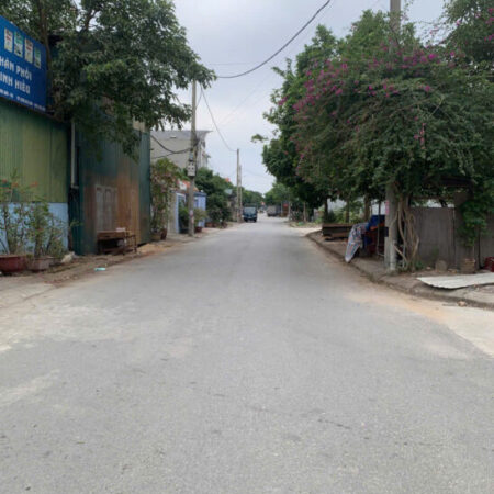 BÁN ĐẤU GIÁ SƠN DU NGUYÊN KHÊ 8X