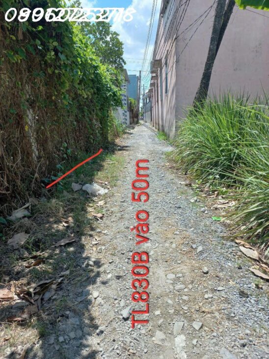 Bán đất thổ cư 247m2, Tỉnh Lộ 830B, Long Định, Long An – 1.53 tỷ