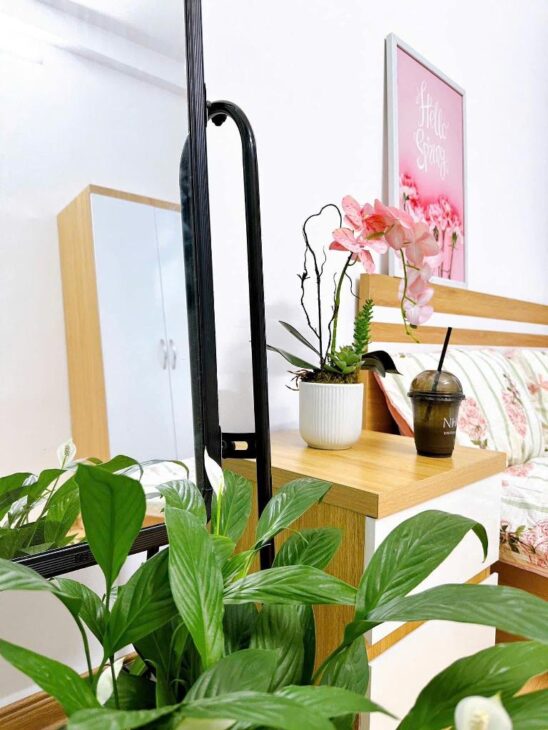 CẦU GIẤY – SIÊU PHẨM DÒNG TIỀN 40M2, 5 TẦNG – NGÕ 3 GÁC – PHÂN LÔ- KHU VỰC NHIỀU KHÁCH THUÊ