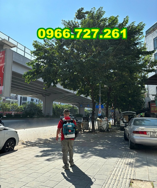 Máy thổi lá , thổi bụi công trình, thổi lá cây san trường chạy xăng 4 thì Kawasaki TK85