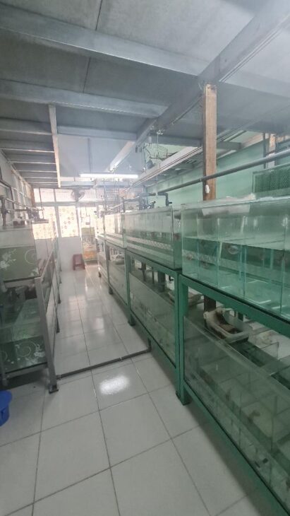 Mặt tiền hẻm 404 Phú Định 9×16 chỉ 7 tỷ