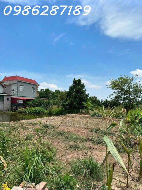 Chỉ hơn 7xx triệu bạn sở hữu ngay lô đất đẹp tại Trừng Xá, Lương Tài, Bắc Ninh