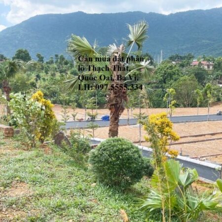 TÂY ĐÔ LAND – Trực tiếp mua, nhận ký gửi, phân phối và bán hộ BĐS nghỉ dưỡng, đất phân lô, đất nền TÂY ĐÔ LAND – Trực tiếp mua, nhận ký gửi, phân phối và bán hộ BĐS nghỉ dưỡng, đất phân lô, đất nền