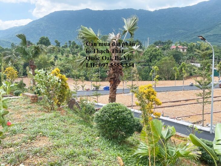 TÂY ĐÔ LAND – Trực tiếp mua, nhận ký gửi, phân phối và bán hộ BĐS nghỉ dưỡng, đất phân lô, đất nền