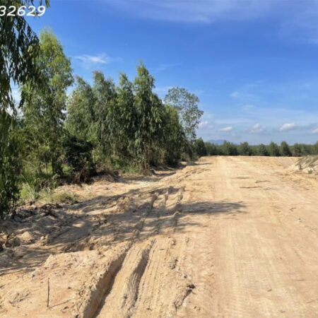 Chỉ 180 triệu. 1000m2 đất Tân Xuân – Hàm Tân đường rộng 10m sổ riêng Chỉ 180 triệu. 1000m2 đất Tân Xuân – Hàm Tân đường rộng 10m sổ riêng