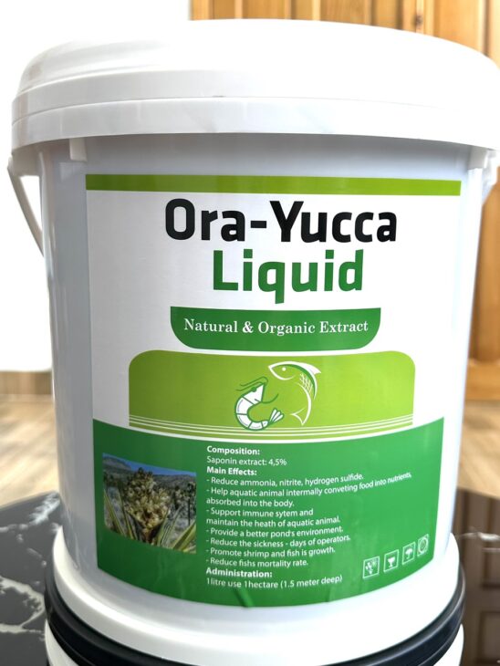 Mua bán yucca nguyên liệu, yucca xử lý nước, yucca bột, yucca nước, yucca tẩy kháng sinh, yucca khử