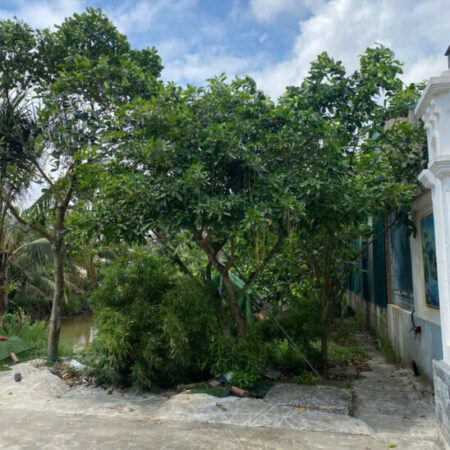 Bán đất mặt đường Đông Hưng, diện tích 105m2 giá chỉ 2 tỷ. Bán đất mặt đường Đông Hưng, diện tích 105m2 giá chỉ 2 tỷ.