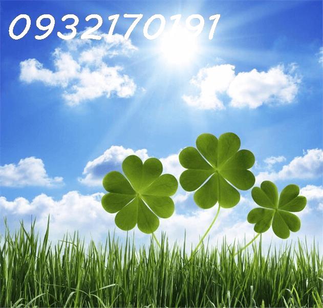 GIÁ CHỈ 910 TRIỆU- với 183m full thổ cư- ĐƯỜNG NHỰA LỚN 13m- Cách Đinh Tiên Hoàng 200m