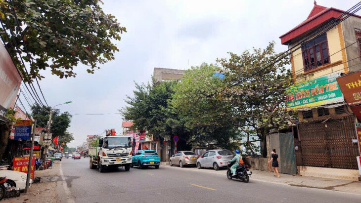 SIÊU PHẨM QUANG TRUNG – NHÀ ĐẸP ĐÓN TẾT – KIẾN TRÚC SƯ THIẾT KẾ – THOÁNG SÁNG – GIÁ MỀM