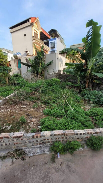 BÁN MẢNH ĐẤT GẦN 65M Ô TÔ GẦN TRỤC CHÍNH ĐẠI ÁNG THANH TRÌ GIÁ CHỈ 2.X TỶ