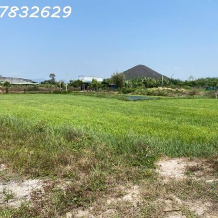 Bán 2939m2 đất Tân Tiến – TX LaGi giá ngộp chỉ 1.1 tỷ sổ riêng Bán 2939m2 đất Tân Tiến – TX LaGi giá ngộp chỉ 1.1 tỷ sổ riêng