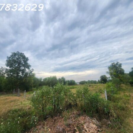 Lô góc 2 mặt tiền 1766m² Tân Phước – TX LaGi, gần biển, giá chỉ 1.65 tỷ Lô góc 2 mặt tiền 1766m² Tân Phước – TX LaGi, gần biển, giá chỉ 1.65 tỷ