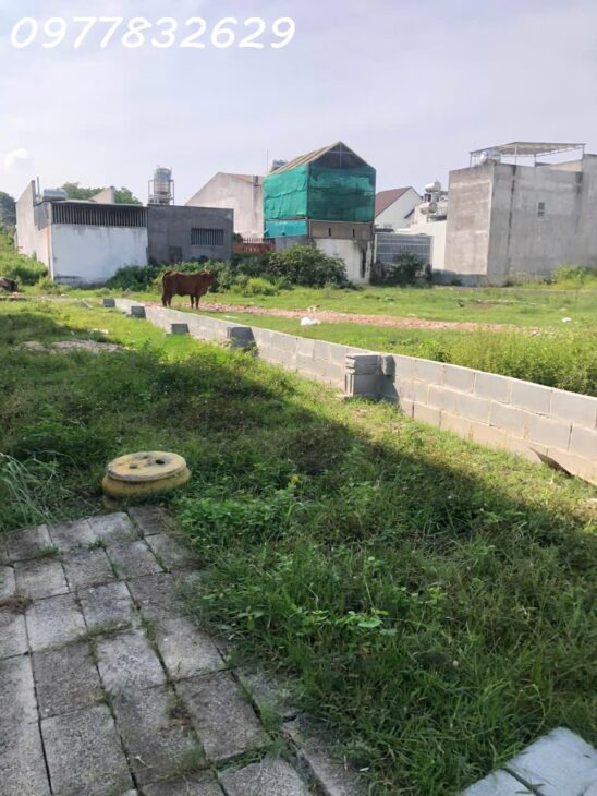 Bán 5m x 20m đất ODT Phước Hội – TX LaGi giá rẻ nhất 1.4 tỷ