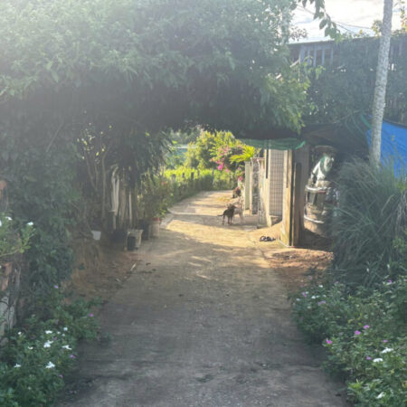 Bán 6m x 30m đất ONT Tân Bình – TX LaGi hạ giá 40% Bán 6m x 30m đất ONT Tân Bình – TX LaGi hạ giá 40%