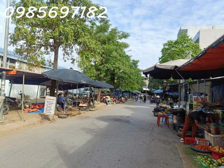 Siêu Phẩm, bán đất mặt đường Tỉnh Lộ 419, xã Đại Yên, Chương Mỹ, Hà Nội. 110.4m2 x 5m MT, Vỉa hè,