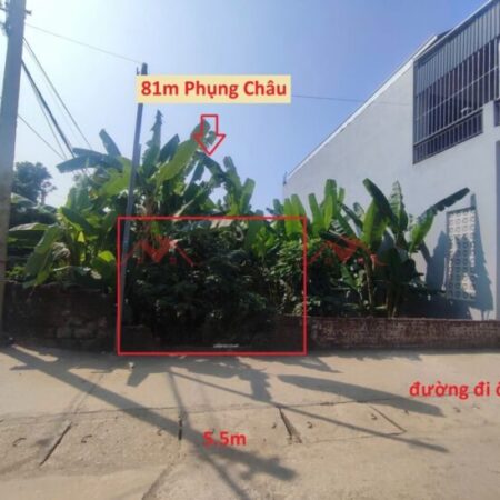SIÊU PHÂM GIÁ 4,5 TỶ ĐẤT TẠI PHỤNG CHÂU-CHƯƠNG MỸ D/T:81M SIÊU PHÂM GIÁ 4,5 TỶ ĐẤT TẠI PHỤNG CHÂU-CHƯƠNG MỸ D/T:81M