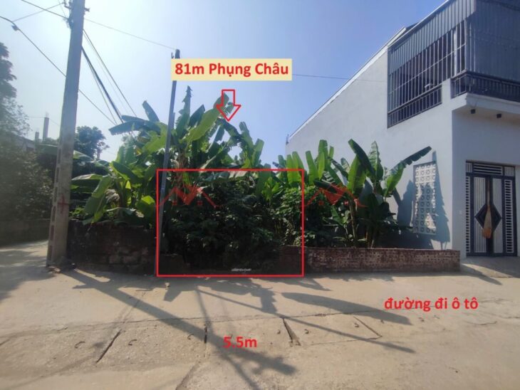 SIÊU PHÂM GIÁ 4,5 TỶ ĐẤT TẠI PHỤNG CHÂU-CHƯƠNG MỸ D/T:81M