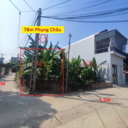 SIÊU PHẨM GIÁ 4,4 TỶ ĐẤT TẠI PHỤNG CHÂU-CHƯƠNG MỸ D/T:78M SIÊU PHẨM GIÁ 4,4 TỶ ĐẤT TẠI PHỤNG CHÂU-CHƯƠNG MỸ D/T:78M