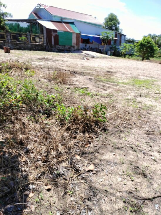 Bán 2000m2 đất ONT Tân Phước – TX LaGi giá ngợp chỉ 2.6 tỷ