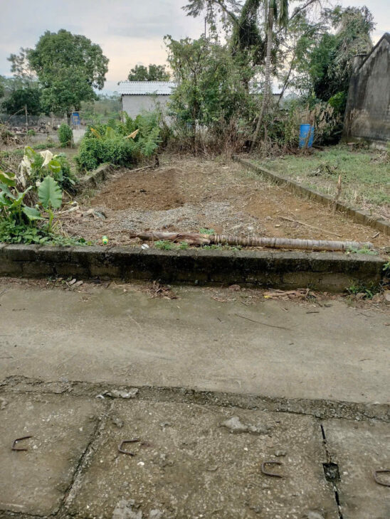 DT; 115m full thổ cư xã hoàng văn thụ sát trục đường đê la thành đường ô tô