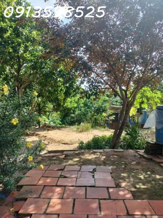 1500m2 giá 300 triệu, nhà chòi nhậu bao mát