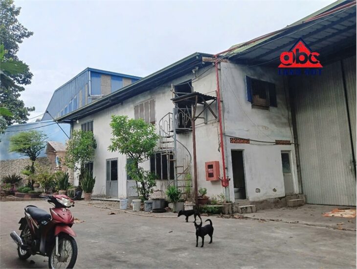 XT426 nhà xưởng sản xuất nhiều ngành nghề, kho lưu trữ hàng hóa, bàn giao liền