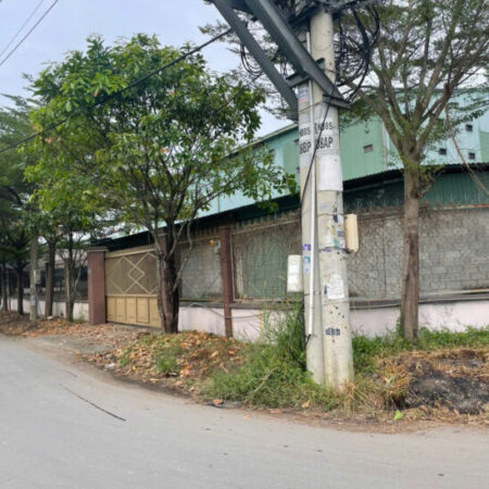 Bán nhà 2 mặt tiền 31x32m giá 19 tỷ Đường Nhị Bình 4, Hóc Môn